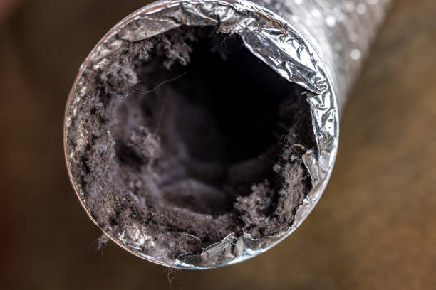Best HVAC Maintenance and Cleaning  in Desert Palms, CA
